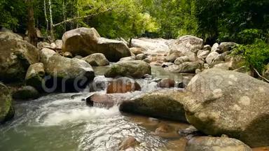 有岩石的雨林和河流的景色。热带森林深处。快石溪上长满树木的丛林。